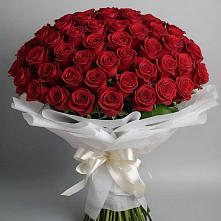 Букет 101 Красная роза Блэк Мэджик #REPLACE_PRED# Ближне-Песочном