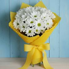 Букет цветов из:  Хризантемы в Ближне-Песочном
