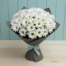 Букет цветов из:  Хризантемы #REPLACE_PRED# Ближне-Песочном