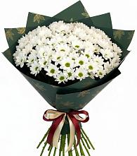 Букет цветов из:  Хризантемы #REPLACE_PRED# Ближне-Песочном