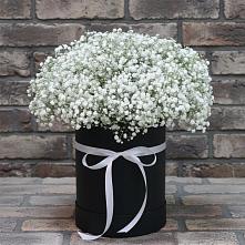 Цветочная композиция из Гипсофила в шляпной коробке в Ближне-Песочном