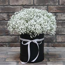 Цветочная композиция из Гипсофила в шляпной коробке в Ближне-Песочном