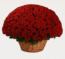 Премиум букет из: Розы в Ближне-Песочном