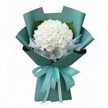Букет цветов из:  Гортензия в Ближне-Песочном